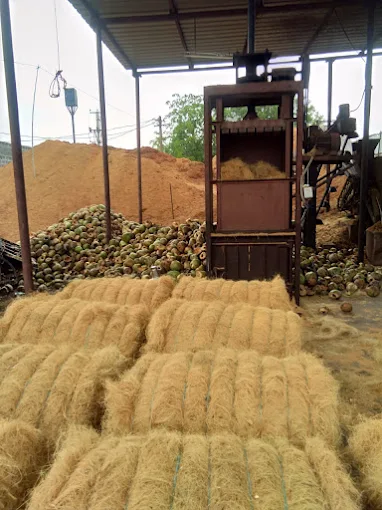 Natural coir fiber bundles
